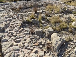 Cerro de las fuentes 2022